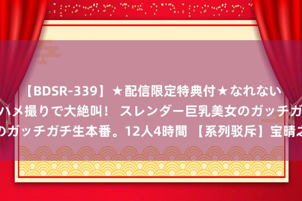 【BDSR-339】★配信限定特典付★なれない感じの新人ちゃんが初ハメ撮りで大絶叫！ スレンダー巨乳美女のガッチガチ生本番。12人4時間 【系列驳斥】宝晴之情的隐性表述