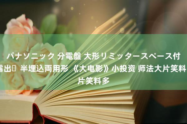 パナソニック 分電盤 大形リミッタースペース付 露出・半埋込両用形 《大电影》小投资 师法大片笑料多