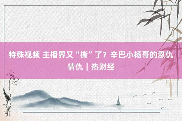 特殊视频 主播界又“撕”了？辛巴小杨哥的恩仇情仇｜热财经